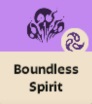 Grenseløs Spirit Dadlock