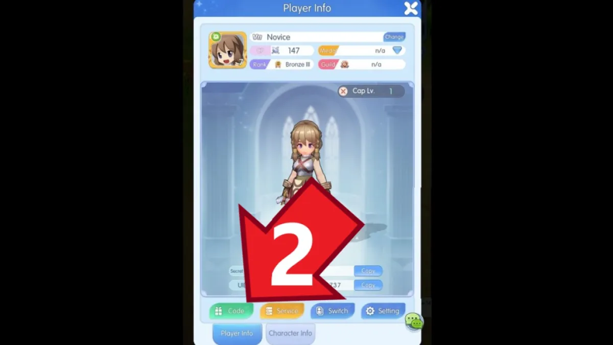 Ragnarok Idle Adventure Plus Code -knapp i spillerens informasjonsmeny