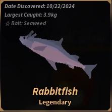 Rabbitfish -preferanser