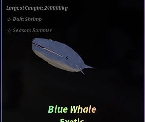 Ultimate Fisch hvalmigrasjonsguide: Hvordan fange Moby og blåhval
