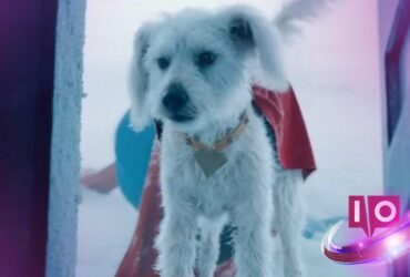 Omfavne SuperDog: Kryptos 'Superman' Spotlight inspirerer adopsjon
